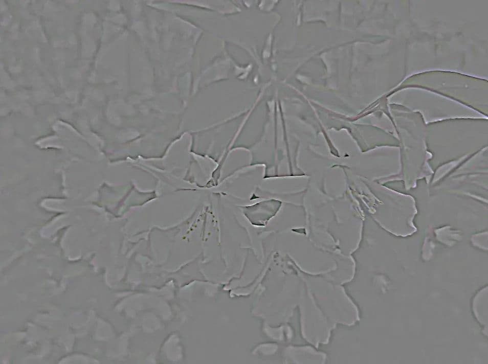 ps如何让图片更加清晰（ps模糊图片秒转高清图技巧）