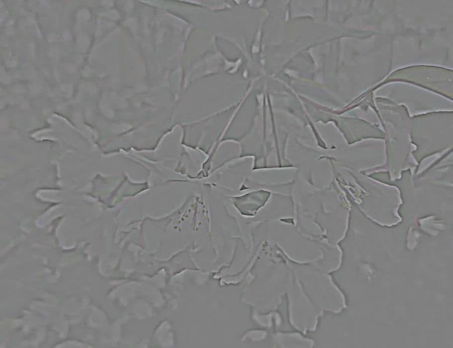 ps如何让图片更加清晰（ps模糊图片秒转高清图技巧）