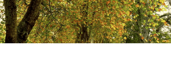 vivo推广案例有哪些，简单介绍一下