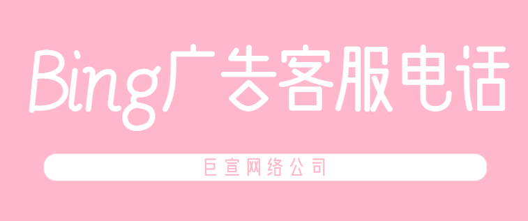 Bing推广账户跟踪离线转化《02》