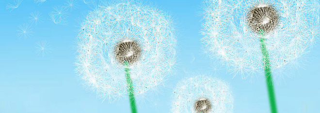 facebook信息流开户怎么收费？信息流开户有哪些政策？