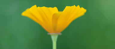 facebook跑文具广告开户价格是多少?有哪些投放技巧?