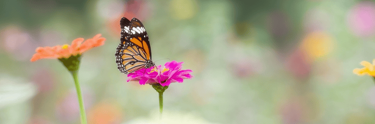 facebook跑文具广告开户价格是多少？有哪些投放技巧？