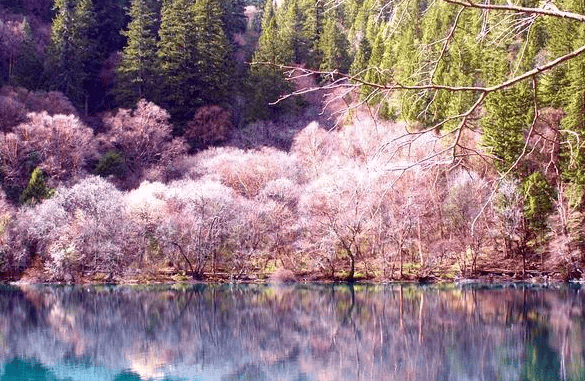 vivo游戏广告平台第六年迎来新变化。