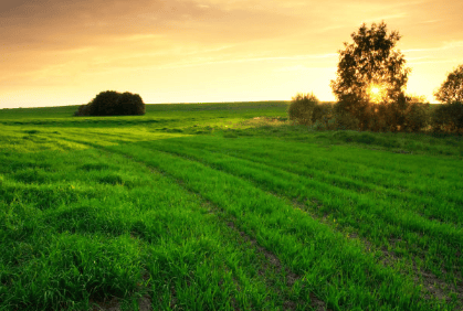 在vivo平台怎么做广告投放?投放广告有什么技巧吗?
