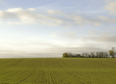 在vivo平台怎么投放信息流广告?