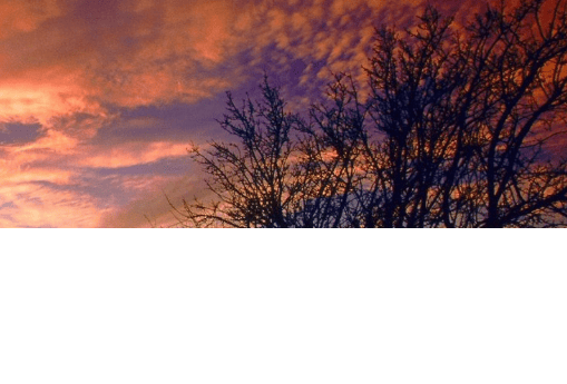 在上海vivo推广怎么投放?有什么优惠活动吗?