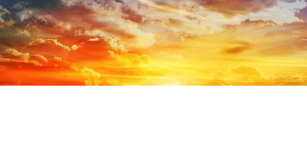 神马广告现在跑茶叶成本有多少？神马推广代理商哪家做的比较好？