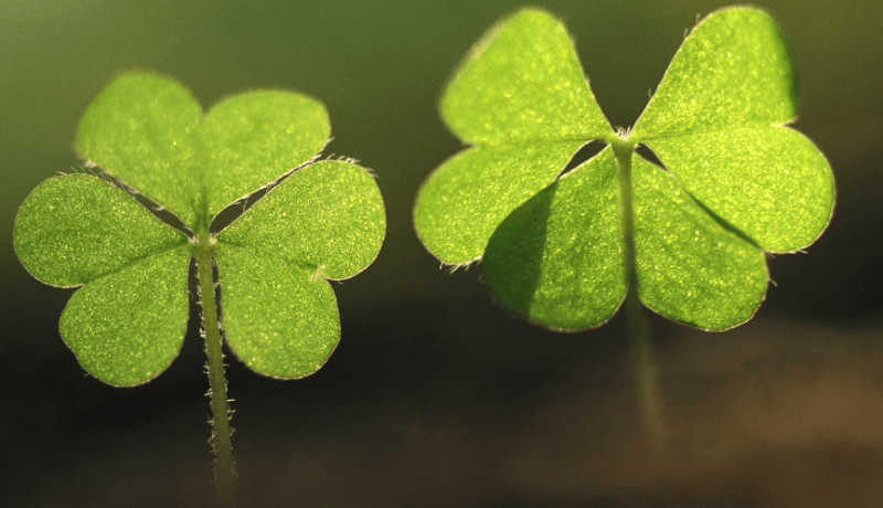 网易广告费用是多少？网易广告怎么做？