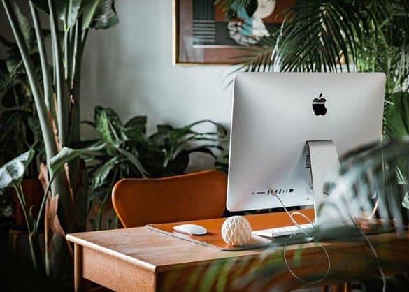 VIVO应用商店管理常见问题