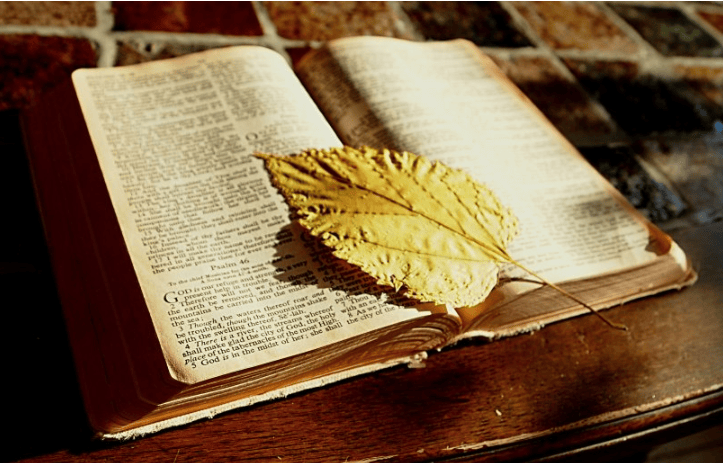 必应信息流多少钱代运营?Bing必应广告推广在哪展现?