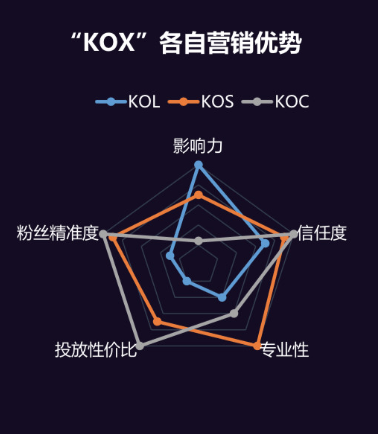 小红书利用达人投放广告的策略有哪些？