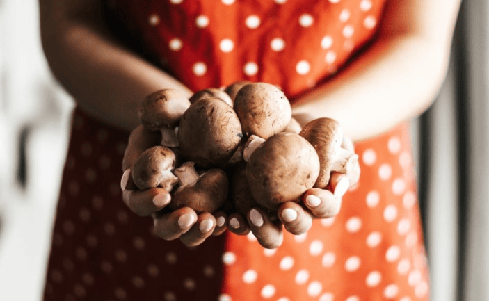 网易广告客服电话是多少?网易现在跑电风扇成本需要多少?