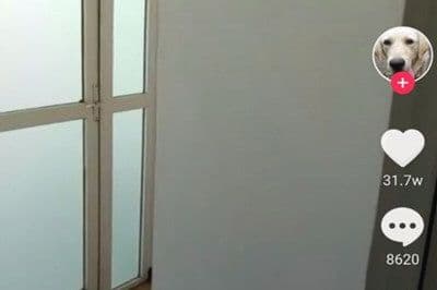 抖音怎么点不感兴趣的内容（改变抖音推荐的内容）