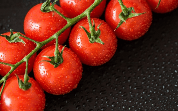 网易现在跑家电成本需要多少钱呢?网易现在跑装修成本需要多少钱呢?