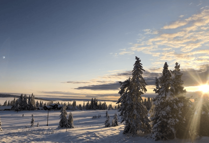 网易信息流广告优惠活动有哪些?网易现在跑不锈钢成本需要多少钱呢?