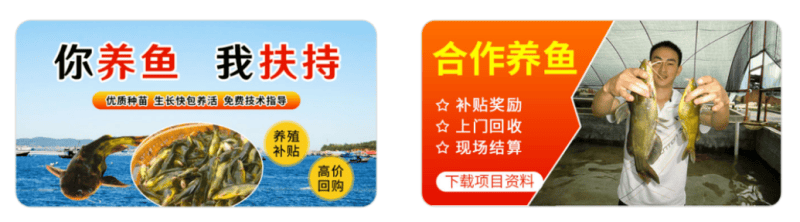 3个优秀案例爆量增长的背后:告诉你这些“能打”妙招