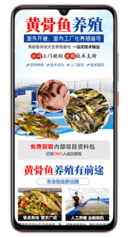 3个优秀案例爆量增长的背后:告诉你这些“能打”妙招