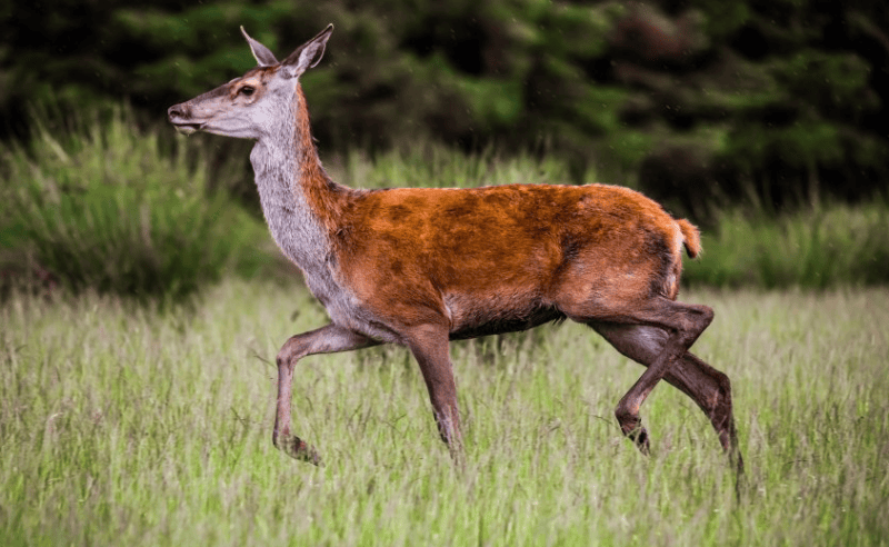 万能钥匙广告投放价格按照cpc多少钱？万能钥匙电话是多少？