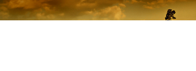 雅虎跑家电广告怎么收费？广告流程有哪些？