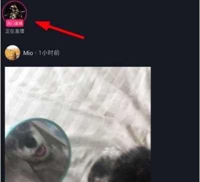 怎么查看自己的粉丝团成员（抖音粉丝团人数的查看）