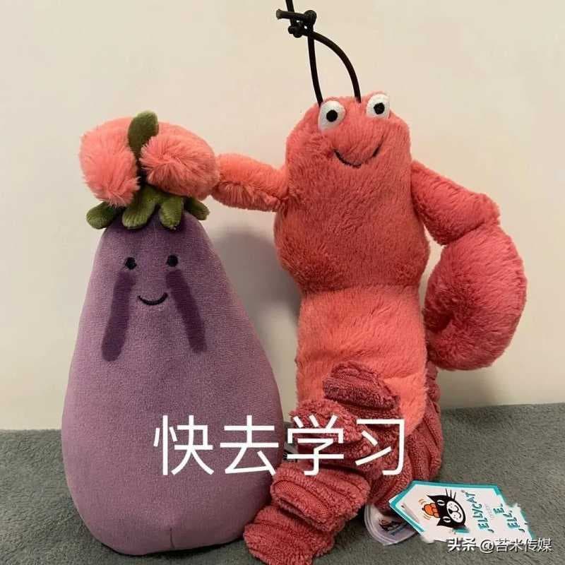 抖音申诉文案怎么写能通过（申诉书的申诉请求写法）