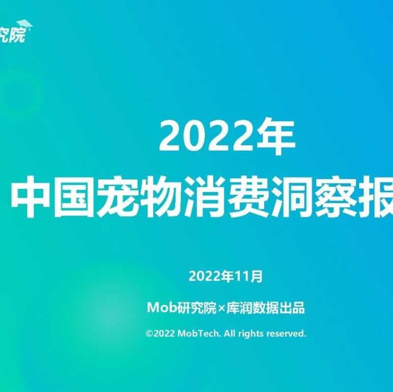 2022抖音双11营销洞察报告