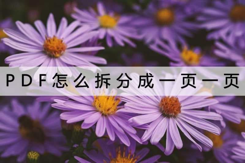 pdf拆分成一页一页快捷键（pdf拆分页面的方式）