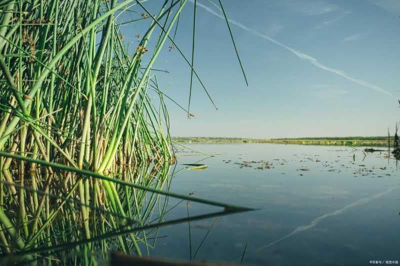 ps降低图片像素怎么弄（在线修改图片尺寸大小）