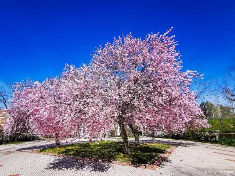 ps降低图片像素怎么弄（在线修改图片尺寸大小）