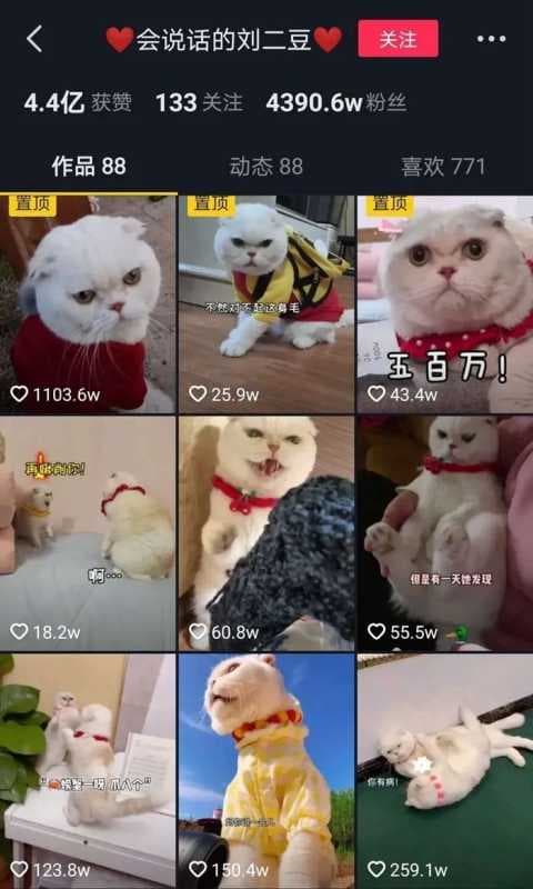 “它经济”、“云吸宠”背后的生意经