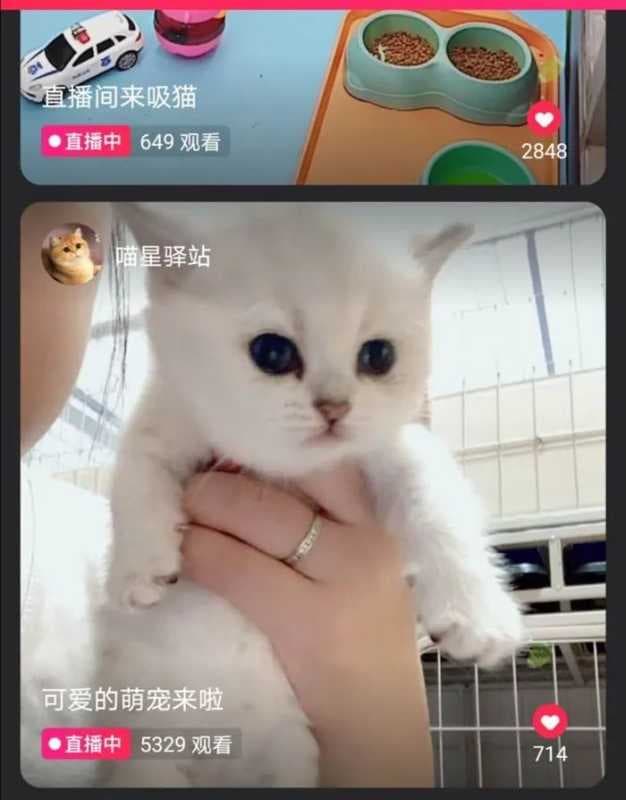 “它经济”、“云吸宠”背后的生意经