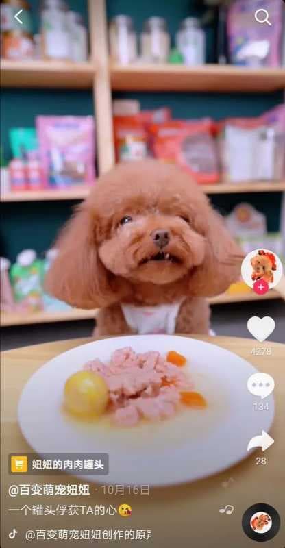 “它经济”、“云吸宠”背后的生意经