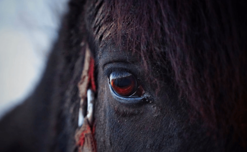 小红书信息流开户怎么做?