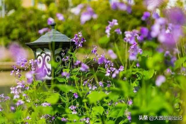 抖音账号运营干货(八):聊一聊抖音运营的一些小技巧