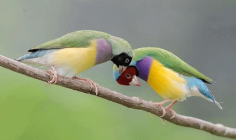 360怎么投放广告?360跑加粉效果好不好?