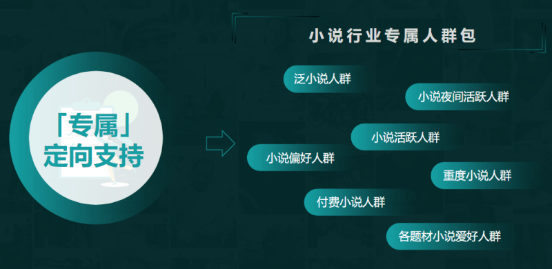 快手小说行业效果营销玩法 | 快手广告投放平台